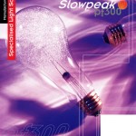 Meggaflash PF3000 flash bulb
